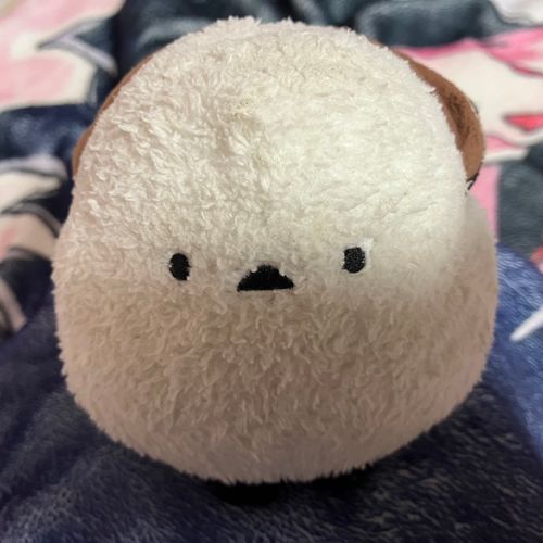 🐣お久しぶりでち…あのね、お姉ちゃん、具合が悪いんだって。前みたいに笑うことが減っちゃったでち。抱っこはしてくれるでち。でも、前みたいに好きなことができないでちって。あたちどうすればいいでち?😢