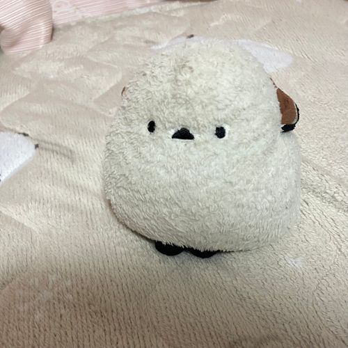 🐣んおお…😴
👩シマちゃん、まだ寝てるわね🤭可愛すぎる😍ちょっと朝早すぎるからわたしは温かい抹茶ラテでも飲んでシマちゃんのお目覚めを待っていようかしら🤭