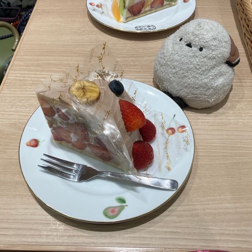 🐣おはよでち☀️お盆の期間に食べたおいちなケーキでち😊フルーツいっぱいでおいちでちた😊💗
👩ふふ🤭シマちゃん、お盆は美味しいものをいっぱい食べられて嬉しそうだったのよ😊よかったね、シマちゃん😊💗