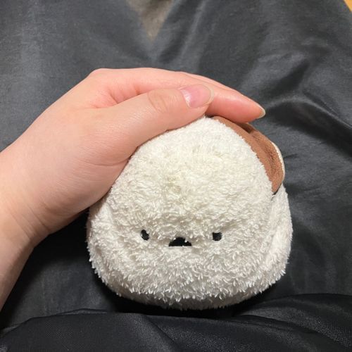 🐣みんな、おはよでち☀️お姉ちゃん、今朝もヨガをやってたでち。あたち、ポーズすると転がって起き上がれなくなるでち。だからほとんど見るだけでち😊
👩可愛すぎる😍💗それにしても、ヨガをやると眠くなるわね🥱ふふ、ヨガをやってるシマちゃん、楽しそうでとっても可愛いわ😍