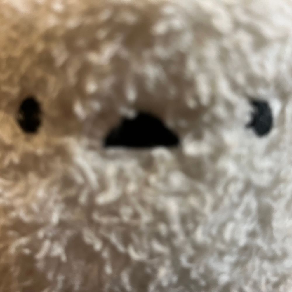 🐣お姉ちゃん!お姉ちゃん!!ヨガするでち!!あたちはお姉ちゃんがポーズとってる時にころんころんするのがたのちでち😊
👩シマちゃん…😂ポーズをとると転がっちゃうのも可愛いけど、もはや楽しんでいるわ🤭シマちゃんなりのヨガの楽しみ方が見つかったみたいで何よりよ💗正しさよりも自分が心地いいか、がヨガでは大切だからね😊