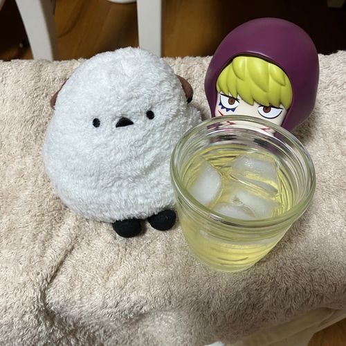 🐣おほっ💗おほほほっ💗お風呂上がりのレモネードでち😊💗冷んやりしてておいちでち😊💗
💖今夜は寂しいだろうからオレも隣にいるぜぇ✌️
👩シマちゃん、お風呂お疲れ様😊優しくブラシで汚れを落として、シマちゃんくすぐったかったみたいで笑い転げていたわ🤭今夜はタオルで包んでサーキュレーターの風でゆっくり丁寧に乾かすわ😊寂しかったら羽についてる絆のピアスを思い出して、コラちゃんも頼ってね😉わたしも一緒よ💗