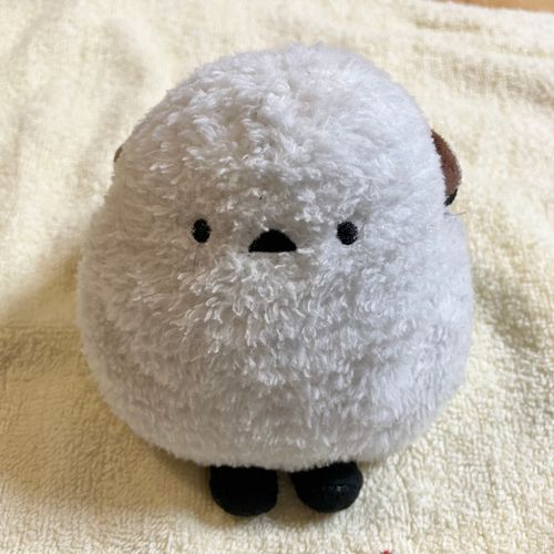 🐣ふぁぁ…🥱お姉ちゃん、朝早くからヨガしてたでち?あたちも寝ぼけながらヨガしたでち。お姉ちゃん、いつから起きてたでち??
👩昨夜は一睡もできないまま朝を迎えてしまったわ。こんなこと久しぶりよ。予定がある日は寝坊したくないからっていつもこうなの。困ったわね…🤔シマちゃん、乾いてこんなにふわふわ真っ白よ🤭