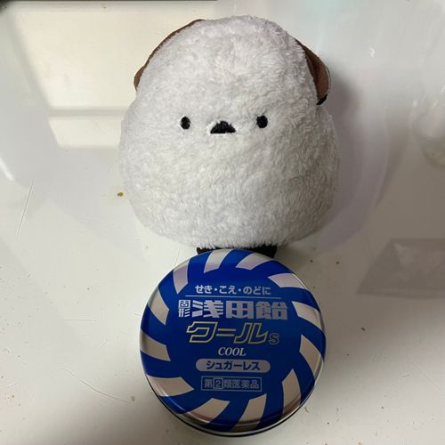 🐣お姉ちゃん、浅田飴どうぞでち。お姉ちゃん、もう1週間くらい風邪ひいてるでち。長くないでち?えののとのののののろにもあさらあめでち?
👩喉風邪を引いてしまったのよ…まあ、これが長いの。なかなか治らなくて困ったわ😩ふふ、シマちゃん、優しいわね😊ちなみに浅田飴の早口言葉はわたしも言えないわ。