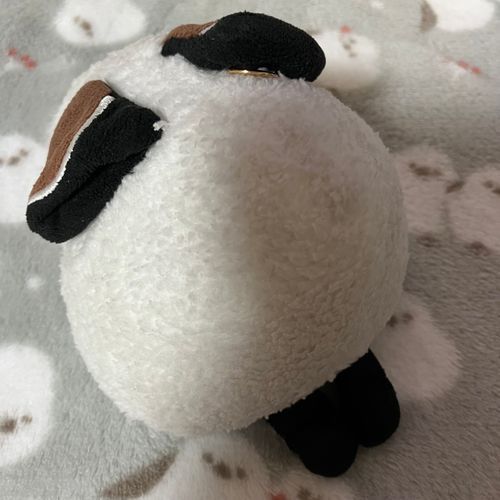 🐣ちょっとだけ…ちょっとだけでち……💤んおおお…💤
👩シマちゃん、おやつを食べてから眠くなっちゃったみたい🤭