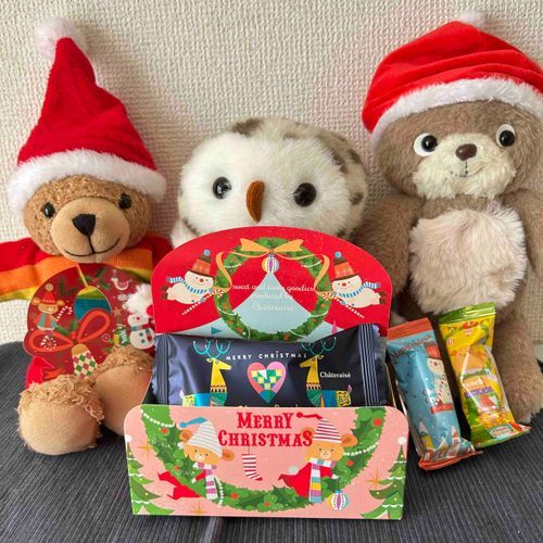 シャトレーゼのクリスマス！🎄
かわいいね💕
モイちゃんちの人、食い意地張ってるから、半分ほど食べちゃってからかわいさに気づいたんだよ
おろかものだね
