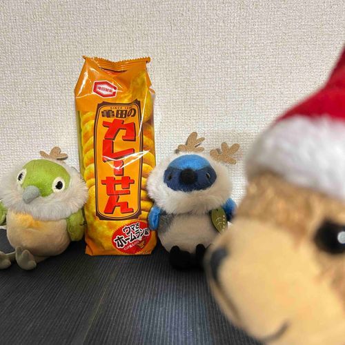 モイちゃんたち、亀田製菓すきなの
中でもカレーせんがだいすき！
先月うちに来た、サンアローさんのメジロちゃんとオオルリちゃんにも食べさせてあげたよ
鳥なのに、今クリスマス気分でトナカイになってるつもりなんだって🐤🦌🐦