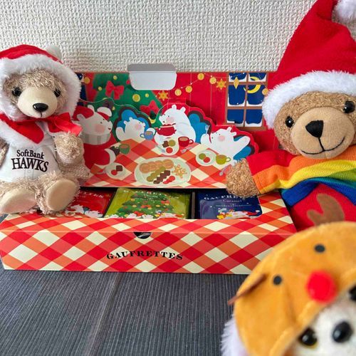 メリークリスマスだよー🎅
凮月堂さんのゴーフレット！
クリスマスはかわいくておいしいものがいっぱいだねー🎄✨