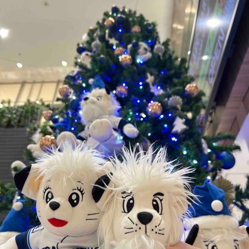 まだクリスマスの写真あるよ
所沢にステキ商業施設できたから、最近モイちゃんちの人は大都会より近い所沢に行くようになったんだ
レオがいっぱい飾られてるツリーがとってもかわいかったって