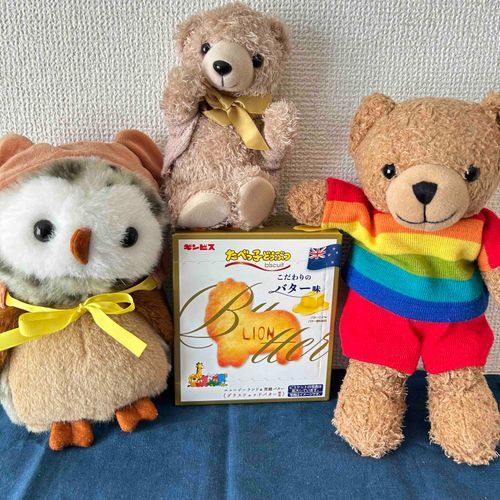 たべっ子動物のバター味がドンキで安売りしてて、買ってもらってみんなで食べたらおいしかったよー
ちょっとしょっぱい感じもよかったな
