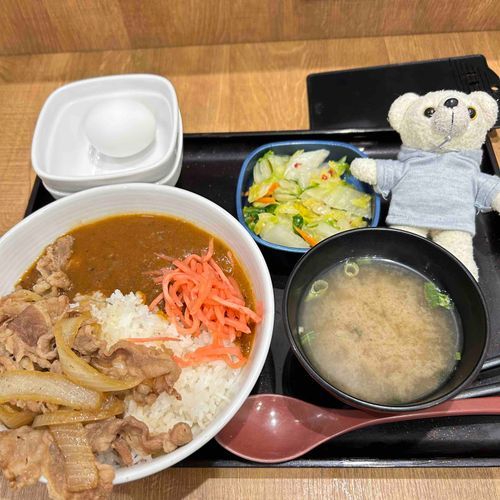 吉野家さんで話題の牛魯珈カレー食べた！おいしかったー！ってファーファちゃんがふんぞりかえってるよ🍛