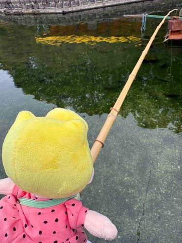 釣りごろつられごろ🎣🎣