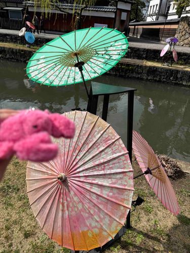 ｢美観地区🐈‍⬛ ͗ ͗①｣

皆さん
倉敷市美観地区に行かれたことありますか？

#カニちゃん