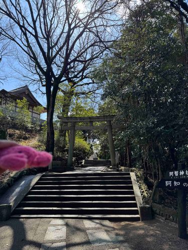 ｢美観地区🐈 ͗ ͗②｣

美観地区の中でどうしても行きたかった場所へ⛩

#カニちゃん