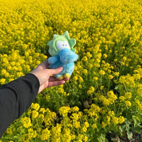 ｢道の駅🌼①｣

3月下旬の写真📷

#スラィリー