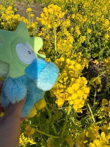 ｢道の駅🌼②｣

クンクン( ˘ ⌓̈ ˘)〜🌼

#スラィリー