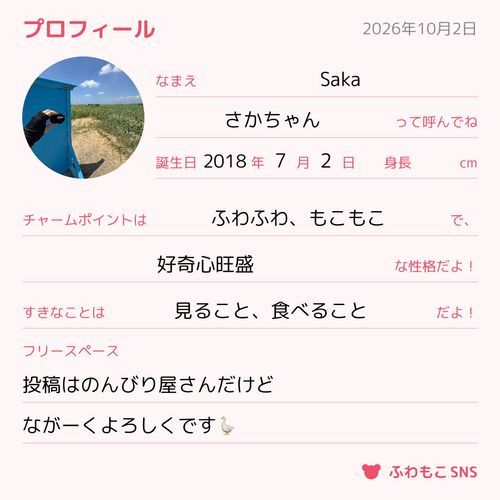 これを機に覗いてください🫣