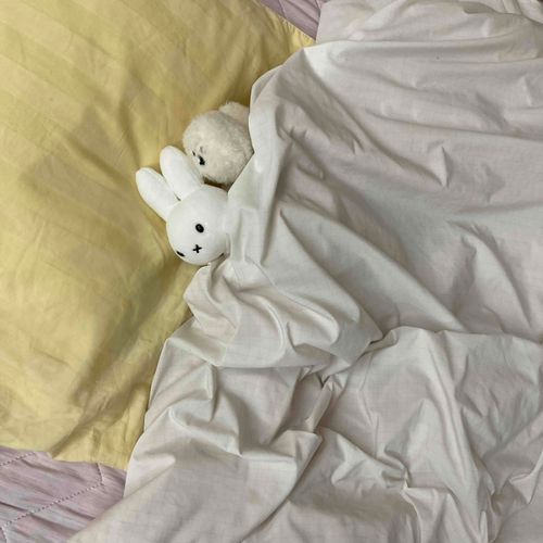 一緒におねんね🐰🐶