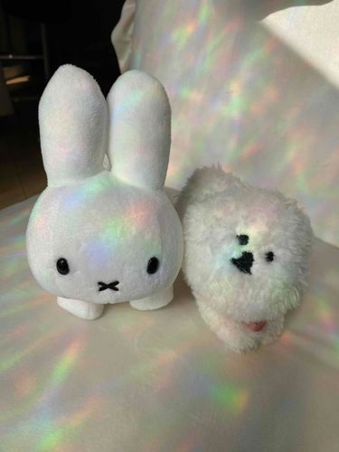 七色にひかるうさちゃん🐰
まんぼーちゃん🐶