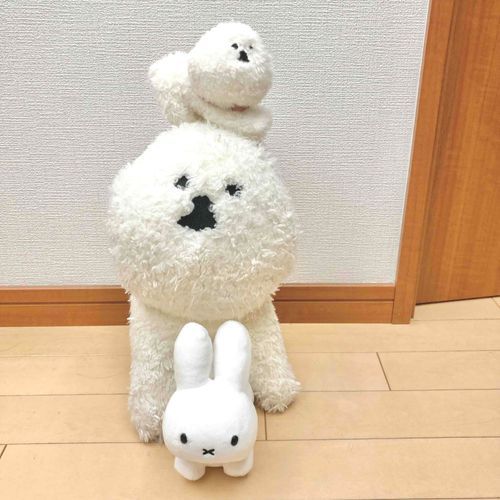 真ん中はまんぼーちゃんのお姉ちゃん🐶
一緒にスリーショット🐶🌼🐰