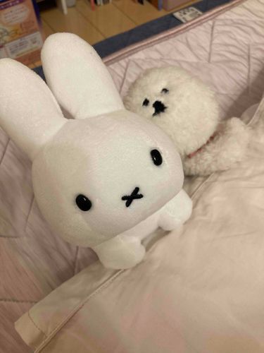 まだねないの？という顔です