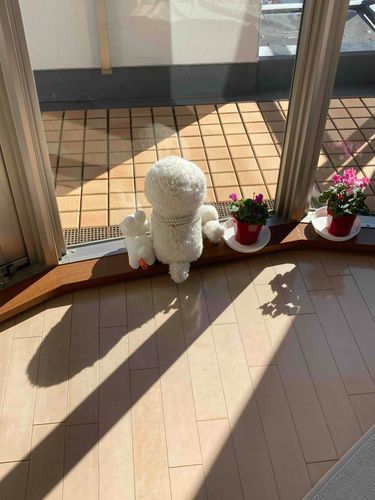 さんびきの
うしろすがた