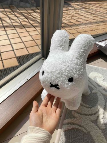 はじめまして🐰