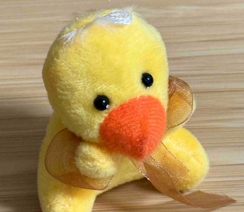 なぜか目がウルウルです🐤