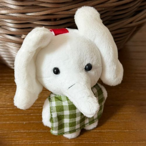 タイで生まれたゾウです🐘