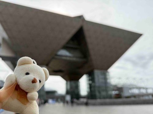 今日は気になるイベントに参加してきたクマ🐻