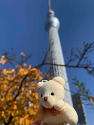 スカイツリーといっしょに🐻
