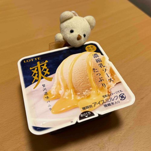 寒い日に暖かい部屋でアイスを食べるのが最高なんだクマ🐻🍨