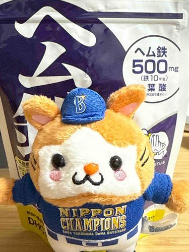 鉄分だいじ