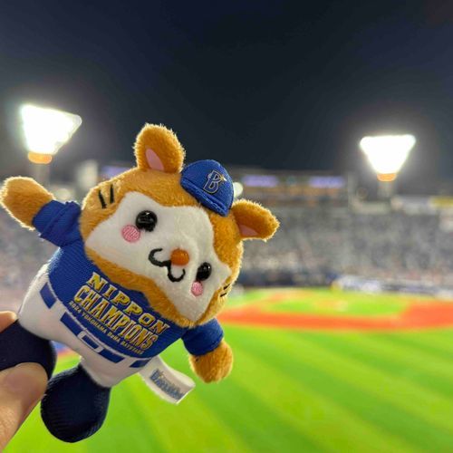 プロ野球の開幕戦を見にきました🐹⚾️
