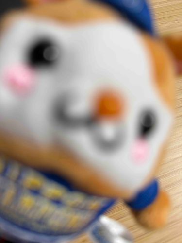 おはよう🐹