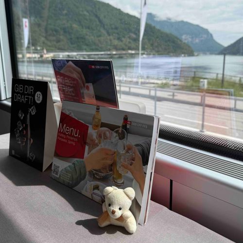電車でヨーロッパ旅行中クマ🐻