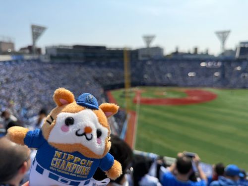 野球の時間です🐹