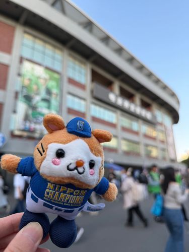 大都会の野球場です🐹🏟️🐹