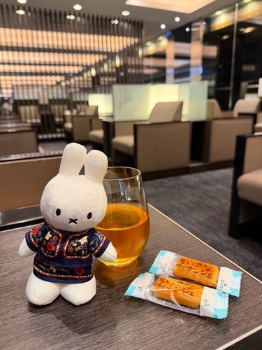 旅の始まりはラウンジでの一杯から🐰