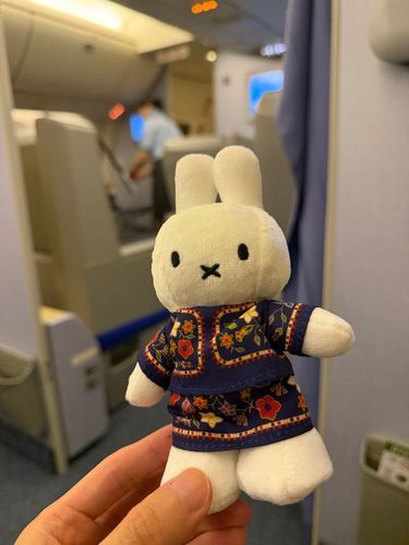 飛行機に乗りました✈️
