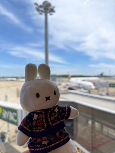 旅に出ます🐰
ラウンジを満喫しました☕️