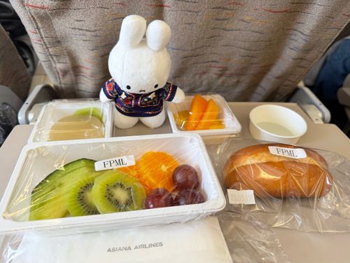 ラウンジでたくさん食べたのでフルーツプレートです🍎🍊🍍🥝🍇