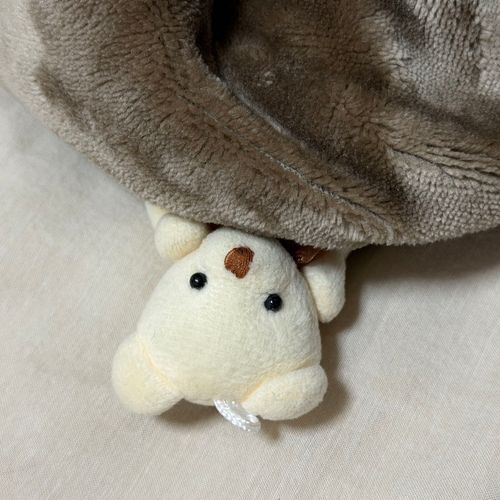 みんな、おやすみクマ🐻💤