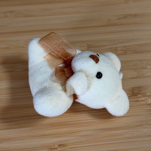 暑さに負けてしまうクマ🐻
