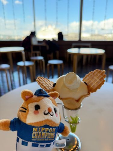 大好きな横浜のカフェ🍦
みんな知ってるかな？🐘