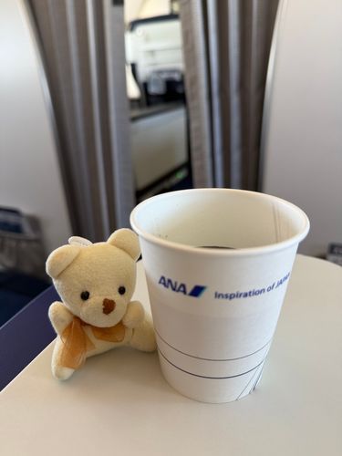 ちょっくら飛んでくるクマ🐻✈️