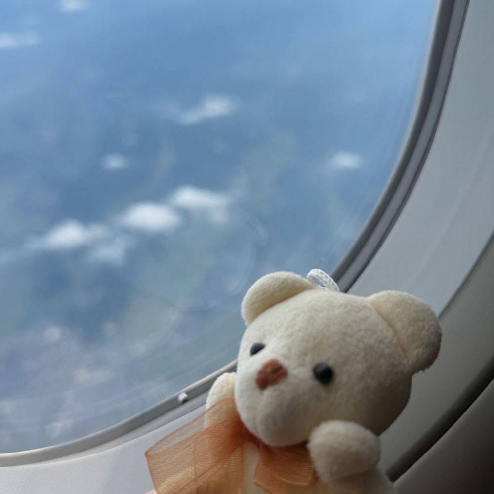 ちょっくら飛んでくるクマ🐻✈️