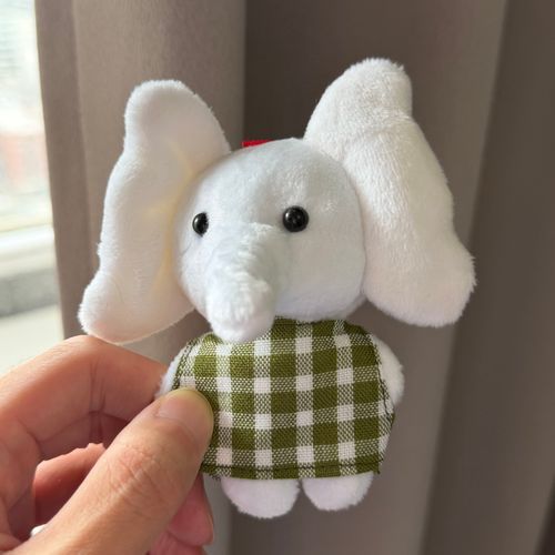 久しぶりに雨が降っていないから外に出たいね🐘