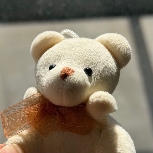 天気が良くて気持ちがいいクマ🐻☀️