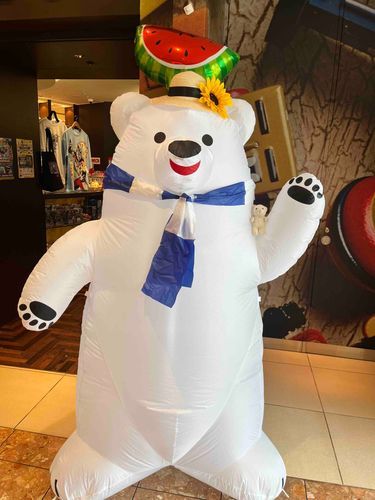 しろちゃん ど～こだ❔🐻‍❄️